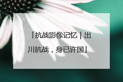 抗战影像记忆｜出川抗战，身已许国