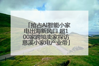 抢占AI智能小家电出海新风口 超100家跨境卖家探访慈溪小家电产业带
