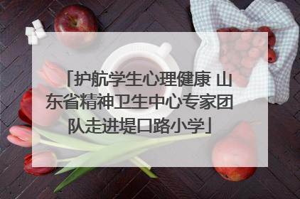 护航学生心理健康 山东省精神卫生中心专家团队走进堤口路小学