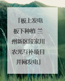 板上发电 板下种植 兰州新区段家川农光互补项目并网发电