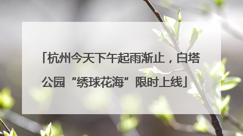 杭州今天下午起雨渐止，白塔公园“绣球花海”限时上线