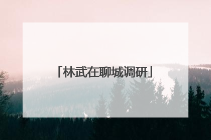 林武在聊城调研