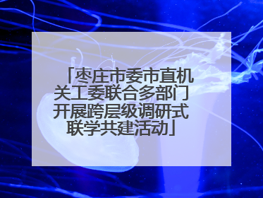 枣庄市委市直机关工委联合多部门开展跨层级调研式联学共建活动