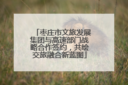 枣庄市文旅发展集团与高速部门战略合作签约，共绘交旅融合新蓝图
