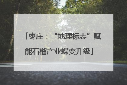 枣庄：“地理标志”赋能石榴产业蝶变升级