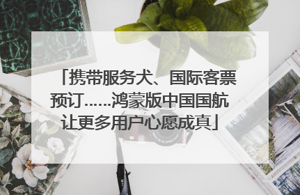 携带服务犬、国际客票预订……鸿蒙版中国国航让更多用户心愿成真