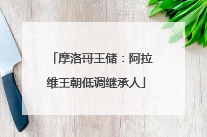 摩洛哥王储：阿拉维王朝低调继承人