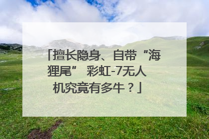 擅长隐身、自带“海狸尾” 彩虹-7无人机究竟有多牛？