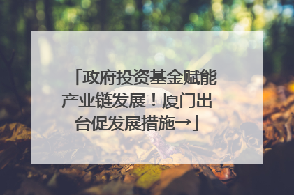 政府投资基金赋能产业链发展！厦门出台促发展措施→