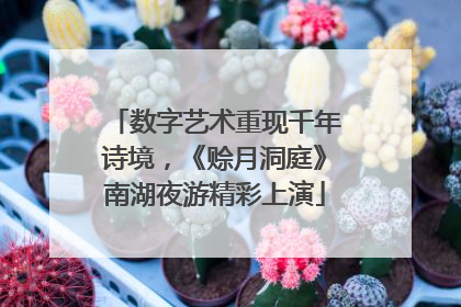 数字艺术重现千年诗境，《赊月洞庭》南湖夜游精彩上演