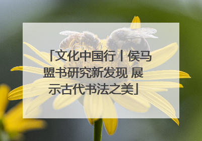 文化中国行丨侯马盟书研究新发现 展示古代书法之美
