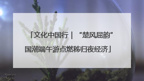 文化中国行｜“楚风屈韵”国潮端午游点燃秭归夜经济
