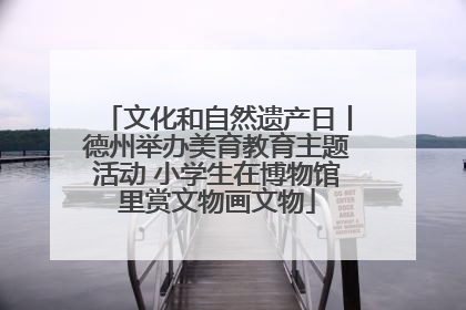 文化和自然遗产日丨德州举办美育教育主题活动 小学生在博物馆里赏文物画文物