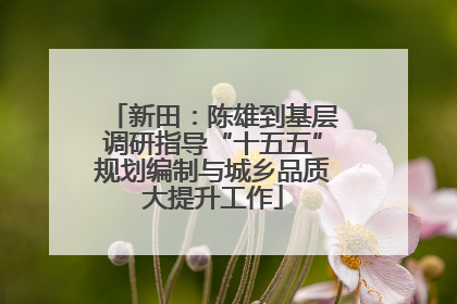 新田：陈雄到基层调研指导“十五五”规划编制与城乡品质大提升工作