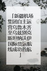 新疆机场集团自主运营乌鲁木齐至乌兹别克斯坦纳沃伊国际货运航线成功首航