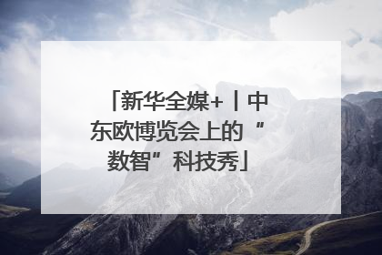 新华全媒+丨中东欧博览会上的“数智”科技秀
