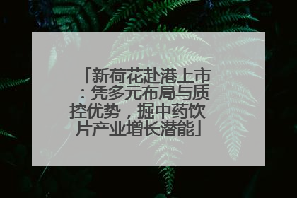 新荷花赴港上市：凭多元布局与质控优势，掘中药饮片产业增长潜能
