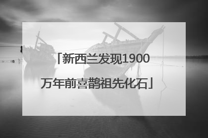 新西兰发现1900万年前喜鹊祖先化石
