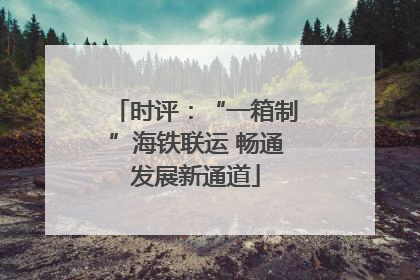 时评：“一箱制”海铁联运 畅通发展新通道
