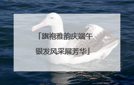 旗袍雅韵庆端午 银发风采展芳华