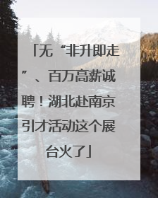 无“非升即走”、百万高薪诚聘！湖北赴南京引才活动这个展台火了
