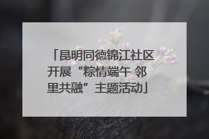昆明同德锦江社区开展“粽情端午 邻里共融”主题活动