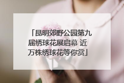 昆明郊野公园第九届绣球花展启幕 近万株绣球花等你赏