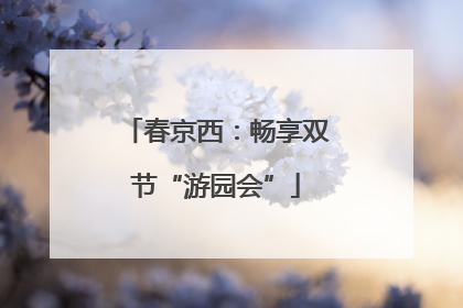 春京西：畅享双节“游园会”
