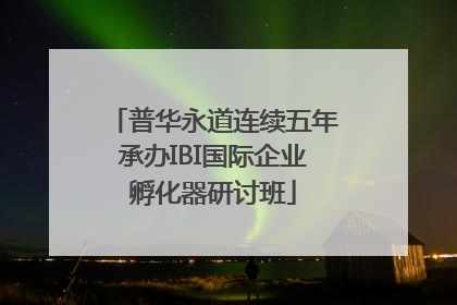 普华永道连续五年承办IBI国际企业孵化器研讨班