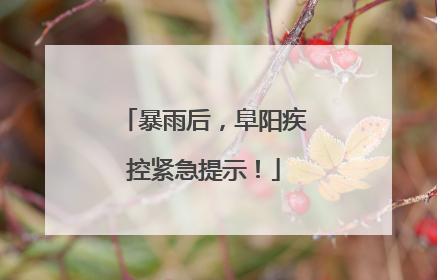 暴雨后，阜阳疾控紧急提示！