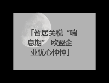 暂居关税“喘息期” 欧盟企业忧心忡忡