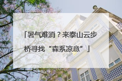 暑气难消？来泰山云步桥寻找“森系凉意”