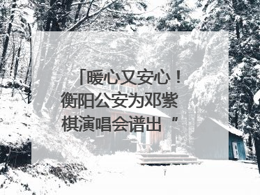 暖心又安心！衡阳公安为邓紫棋演唱会谱出“平安曲”