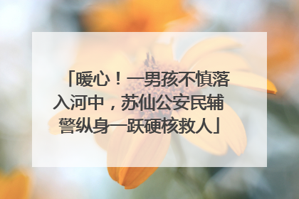 暖心！一男孩不慎落入河中，苏仙公安民辅警纵身一跃硬核救人