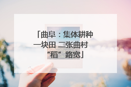 曲阜：集体耕种一块田 二张曲村“稻”路宽