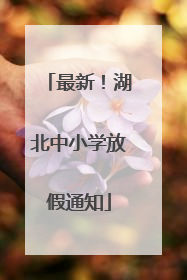 最新！湖北中小学放假通知