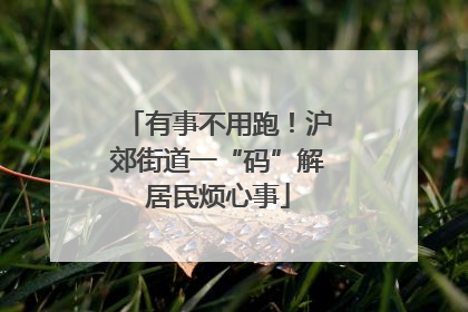 有事不用跑！沪郊街道一“码”解居民烦心事