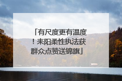有尺度更有温度！耒阳柔性执法获群众点赞送锦旗