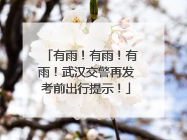 有雨！有雨！有雨！武汉交警再发考前出行提示！