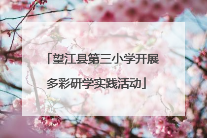 望江县第三小学开展多彩研学实践活动
