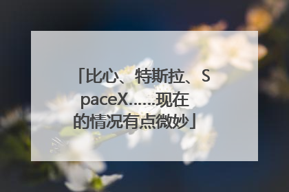 比心、特斯拉、SpaceX……现在的情况有点微妙