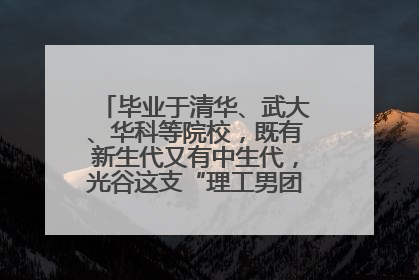 毕业于清华、武大、华科等院校，既有新生代又有中生代，光谷这支“理工男团”为何“出道”？