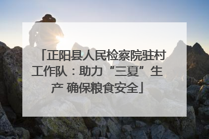 正阳县人民检察院驻村工作队：助力“三夏”生产 确保粮食安全