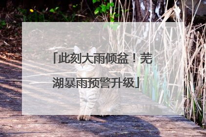 此刻大雨倾盆！芜湖暴雨预警升级