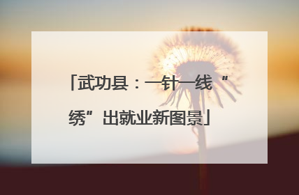 武功县：一针一线“绣”出就业新图景