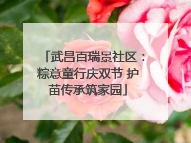 武昌百瑞景社区：粽意童行庆双节 护苗传承筑家园