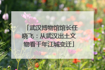 武汉博物馆馆长任晓飞：从武汉出土文物看千年江城变迁