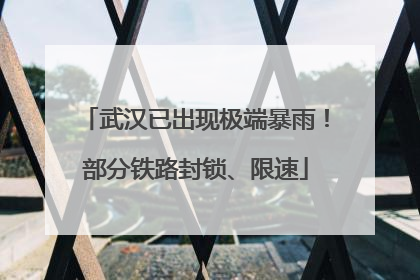 武汉已出现极端暴雨！部分铁路封锁、限速