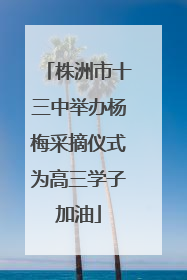 株洲市十三中举办杨梅采摘仪式为高三学子加油