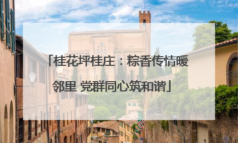 桂花坪桂庄：粽香传情暖邻里 党群同心筑和谐